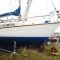 Van de Stadt 8m Sloop Yacht – Review (#809)